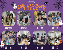 사진8